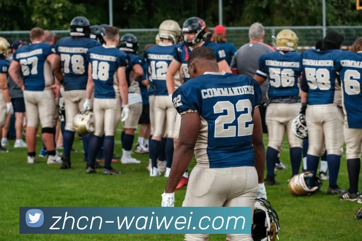 世界杯外围平台生态图